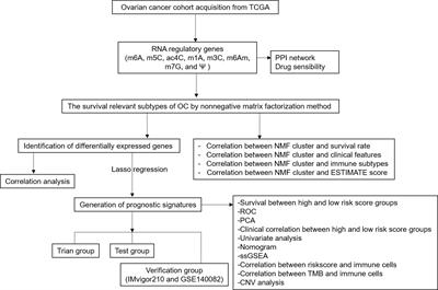 Ovarian cancer subtypes based on the regulatory genes of RNA modifications: Novel prediction model of prognosis